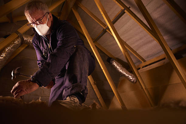 Best Insulation Installation Services in Myrtle Beach, SC